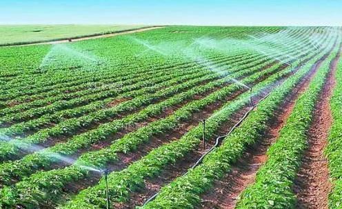 抽查美妇视频农田高 效节水灌溉